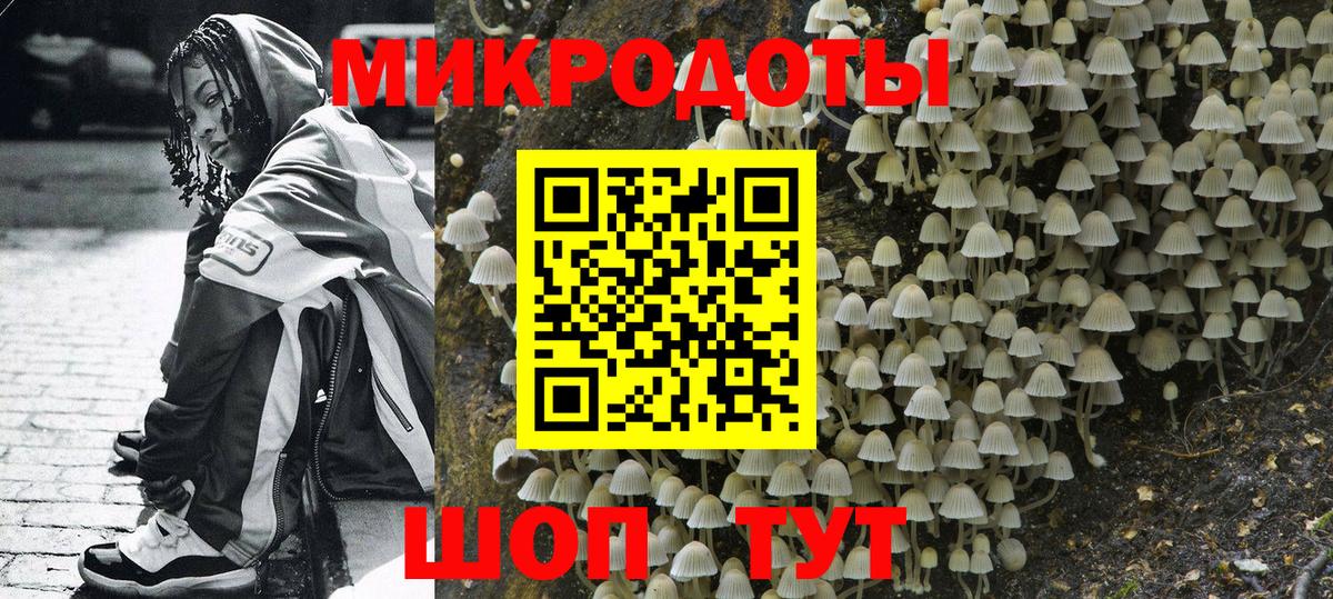 Галлюциногенные грибы GOLDEN TEACHER  цена наркотик  Альметьевск  Вход с VPN  Галлюциногенные грибы ЛСД 