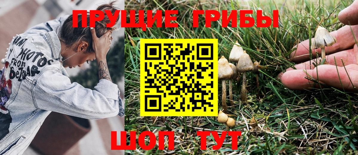 Псилоцибиновые грибы GOLDEN TEACHER Альметьевск